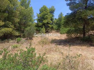 Οικόπεδο 1.200 τ.μ. για πώληση