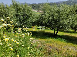 Οικόπεδο 850 τ.μ. για πώληση
