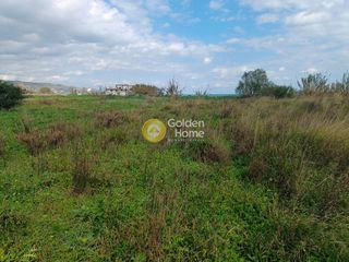 Αγροτεμάχια 11.308 τ.μ. για πώληση