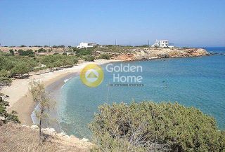 Αγροτεμάχια 8.000 τ.μ. για πώληση