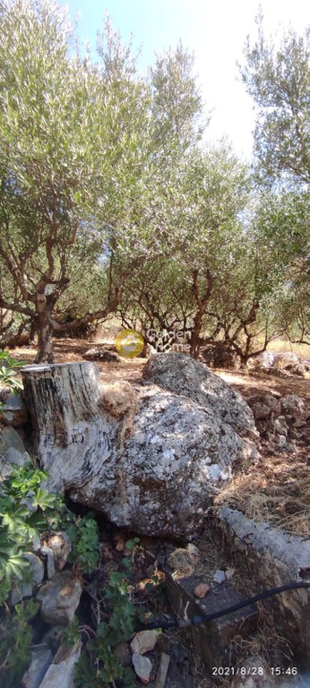 Μονοκατοικία 220 τ.μ. προς πώληση, Βρύσες Κυπαρισσίας
