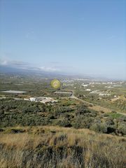 Αγροτεμάχια 4.700 τ.μ. για πώληση
