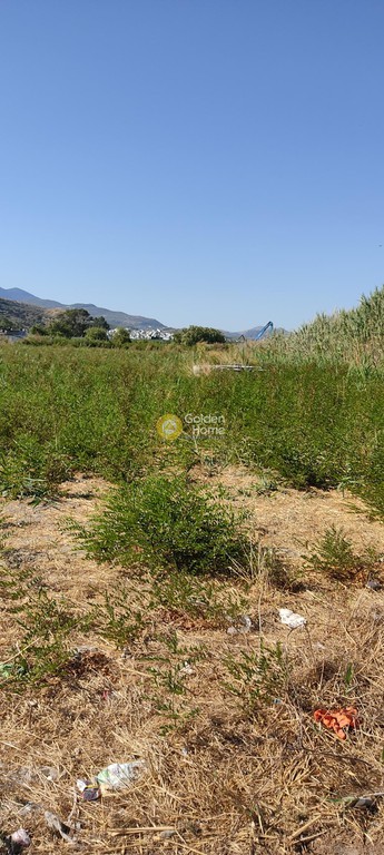 Οικόπεδο 2.440 τ.μ. προς ενοικίαση, Ν. Ηρακλείου, Νέα Αλικαρνασσός