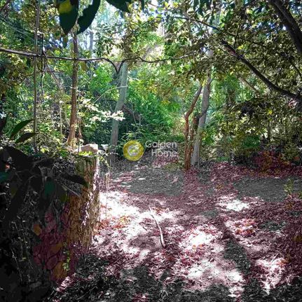 Κατάστημα 150 τ.μ. για ενοικίαση, Ν. Λέσβου, Λέσβος - Ευεργέτουλα