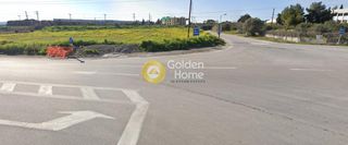 Οικόπεδο 10.000 τ.μ. για πώληση