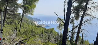 Αγροτεμάχια 6.137 τ.μ. για πώληση