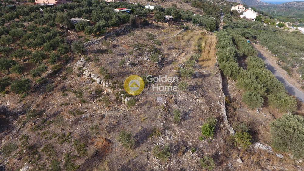 Αγροτεμάχια 5.335 τ.μ. προς πώληση, Στύλος