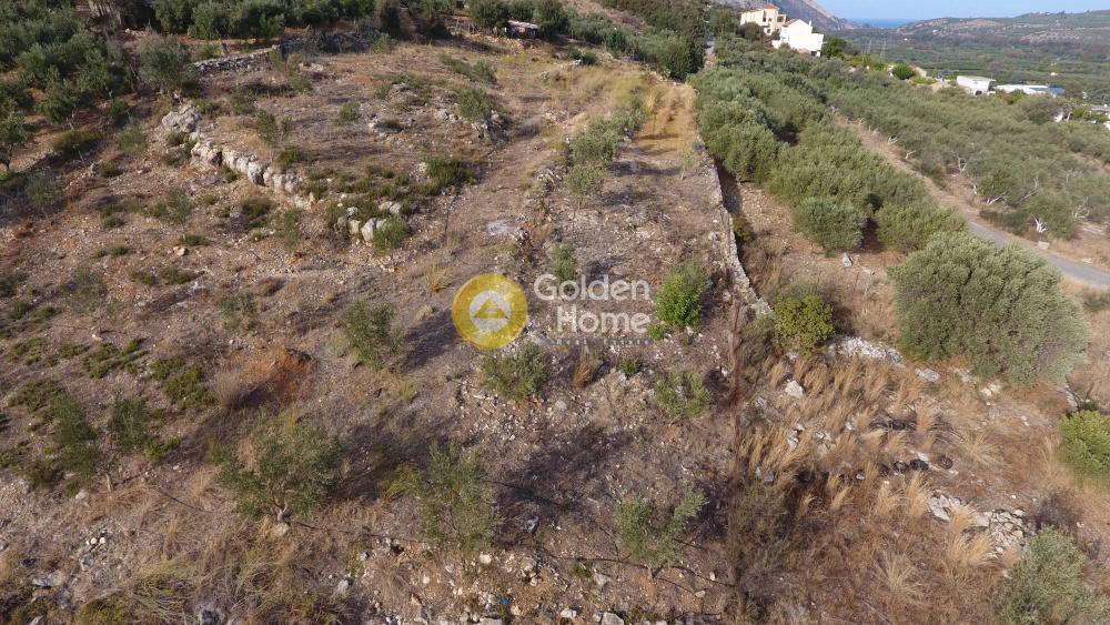 Αγροτεμάχια 5.335 τ.μ. προς πώληση, Στύλος