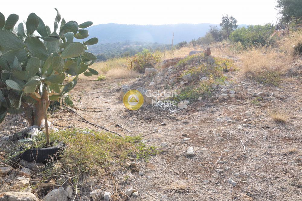 Αγροτεμάχια 5.335 τ.μ. προς πώληση, Στύλος