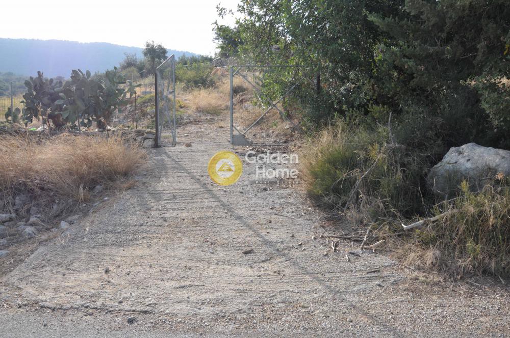 Αγροτεμάχια 5.335 τ.μ. προς πώληση, Στύλος