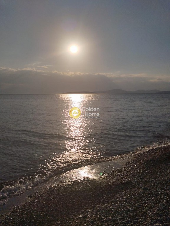 Οικόπεδο 50.000 τ.μ. προς πώληση, Άνω Μερά