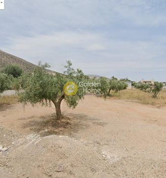 Αγροτεμάχια 2.330 τ.μ. προς πώληση
