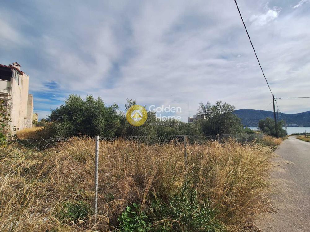 Αγροτεμάχια 500 τ.μ. προς πώληση, Ξηρόβρυση Ανθηδώνος