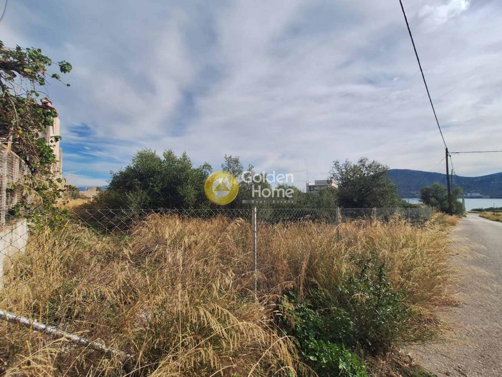 Αγροτεμάχια 500 τ.μ. προς πώληση, Ξηρόβρυση Ανθηδώνος