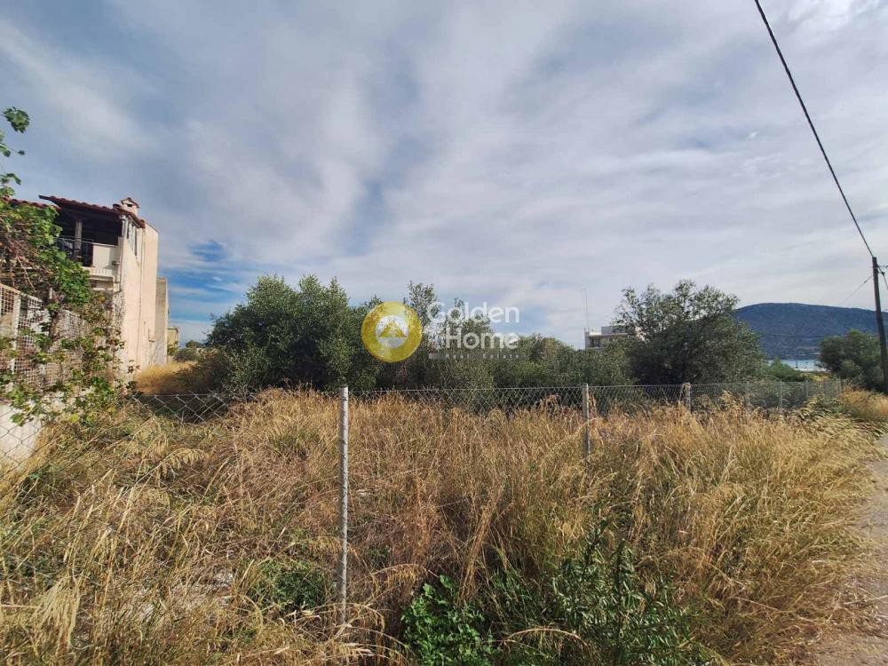 Αγροτεμάχια 500 τ.μ. προς πώληση, Ξηρόβρυση Ανθηδώνος