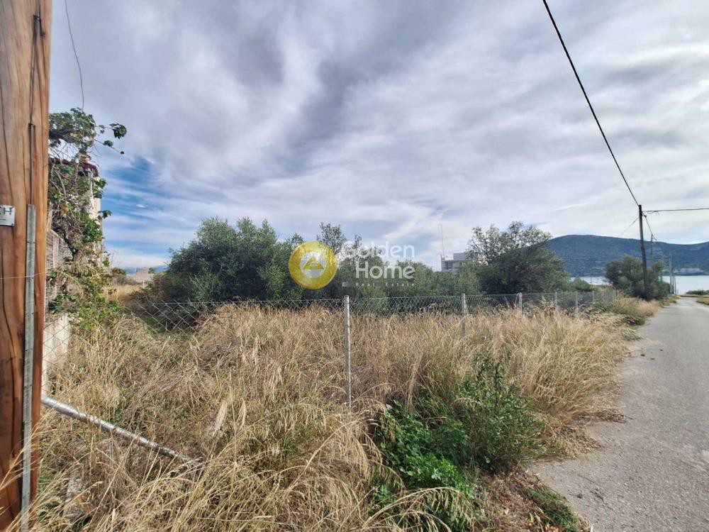 Αγροτεμάχια 500 τ.μ. προς πώληση, Ξηρόβρυση Ανθηδώνος