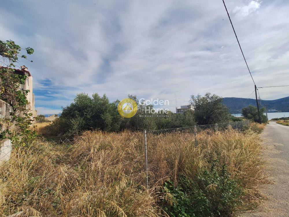 Αγροτεμάχια 500 τ.μ. προς πώληση, Ξηρόβρυση Ανθηδώνος