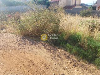 Land plot 750 sqm for sale