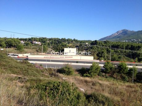 Οικόπεδο 7.310 τ.μ. για πώληση