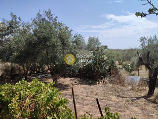 Μονοκατοικία 149 τ.μ. προς πώληση, Πανόραμα Ληλαντίου-thumb-6