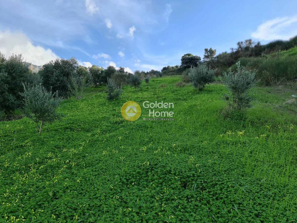 Αγροτεμάχια 7.000 τ.μ. προς πώληση, Άγιος Βλάσιος Ηρακλείου