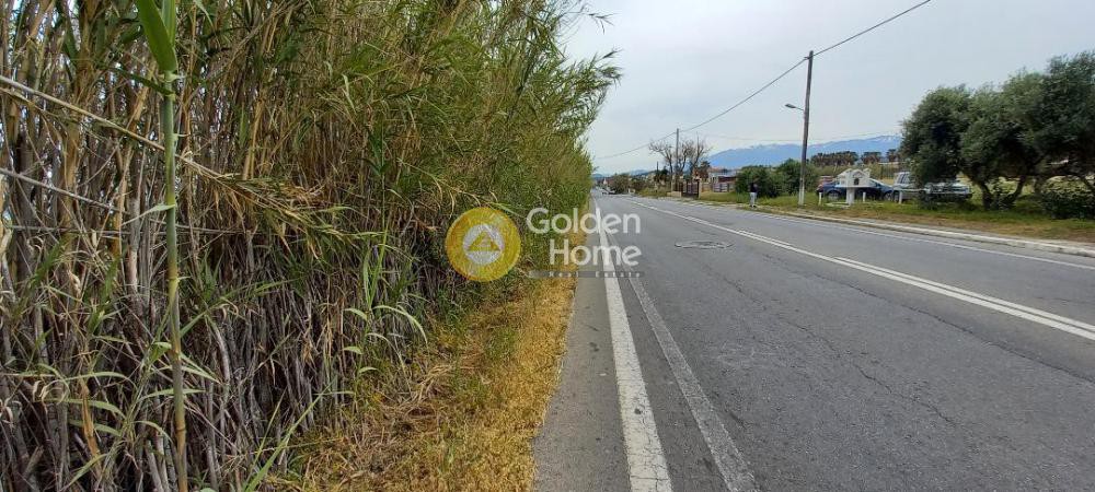 Οικόπεδο 4.500 τ.μ. προς πώληση, Μάλεμε