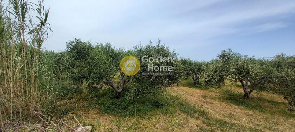 Οικόπεδο 4.500 τ.μ. προς πώληση, Μάλεμε