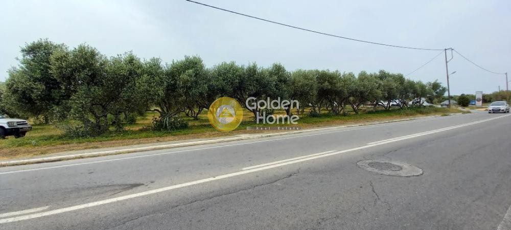 Οικόπεδο 4.500 τ.μ. προς πώληση, Μάλεμε