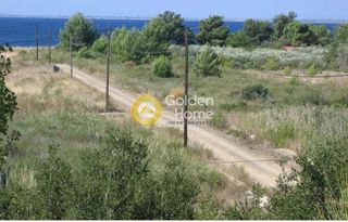 Οικόπεδο 1.146 τ.μ. για πώληση
