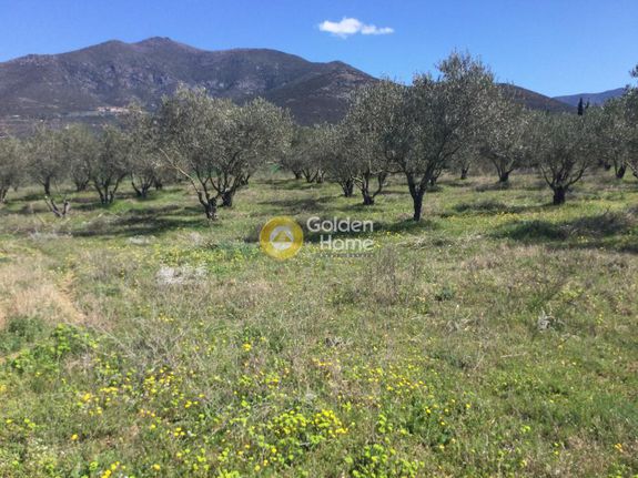 Parcel 17.000 sqm for sale, Chalkidiki, Anthemountas