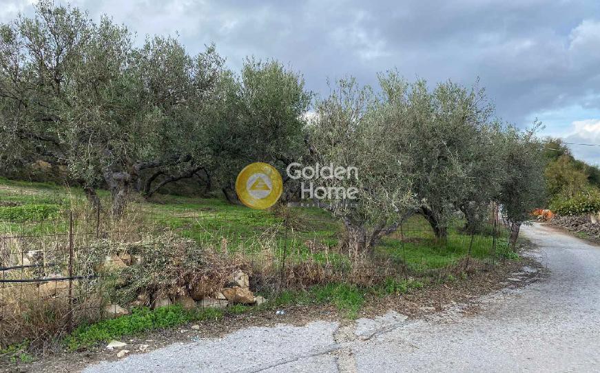 Οικόπεδο 1.228 τ.μ. προς πώληση, Κουνουπίτσα Κισσάμου