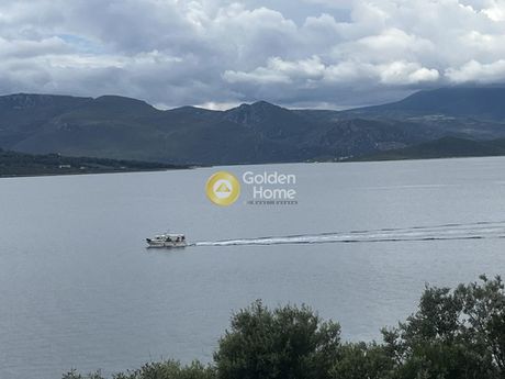Αγροτεμάχια 1.800 τ.μ. για πώληση