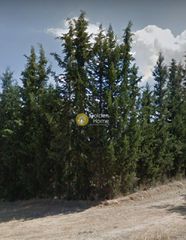 Οικόπεδο 1.445 τ.μ. προς πώληση, Πλάκα Δήλεσι-thumb-1