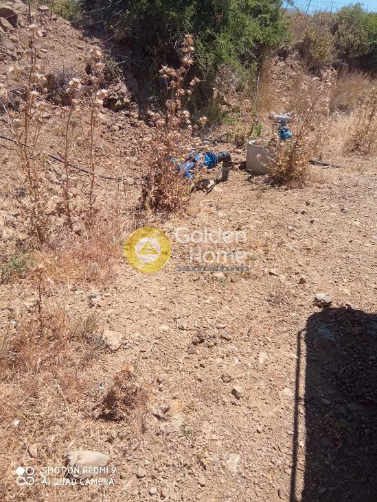 Οικόπεδο 70.000 τ.μ. πρός πώληση, Ν. Ρεθύμνου, Λάμπη