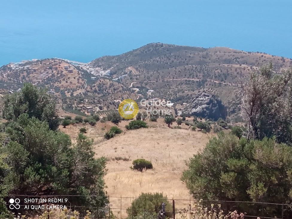 Οικόπεδο 70.000 τ.μ. πρός πώληση, Ν. Ρεθύμνου, Λάμπη