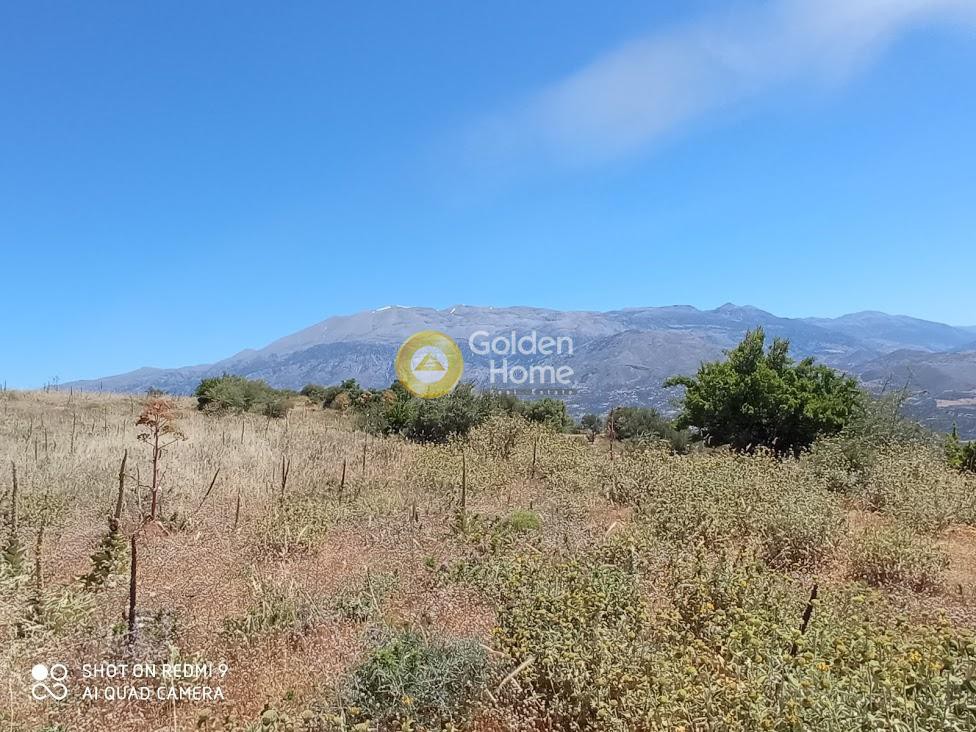Οικόπεδο 70.000 τ.μ. πρός πώληση, Ν. Ρεθύμνου, Λάμπη