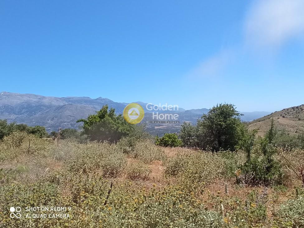 Οικόπεδο 70.000 τ.μ. πρός πώληση, Ν. Ρεθύμνου, Λάμπη