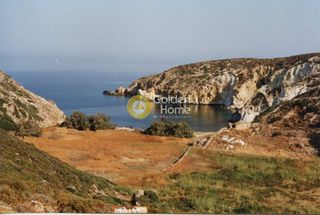 Αγροτεμάχια 7.950 τ.μ. για πώληση