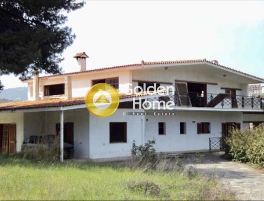 Επιχειρηματικό κτίριο 518 τ.μ. πρός ενοικίαση, Αθήνα - Βόρεια Προάστια, Άγιος Στέφανος