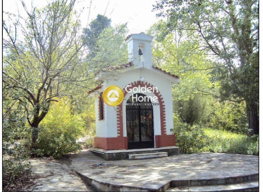 Επιχειρηματικό κτίριο 518 τ.μ. πρός ενοικίαση, Αθήνα - Βόρεια Προάστια, Άγιος Στέφανος