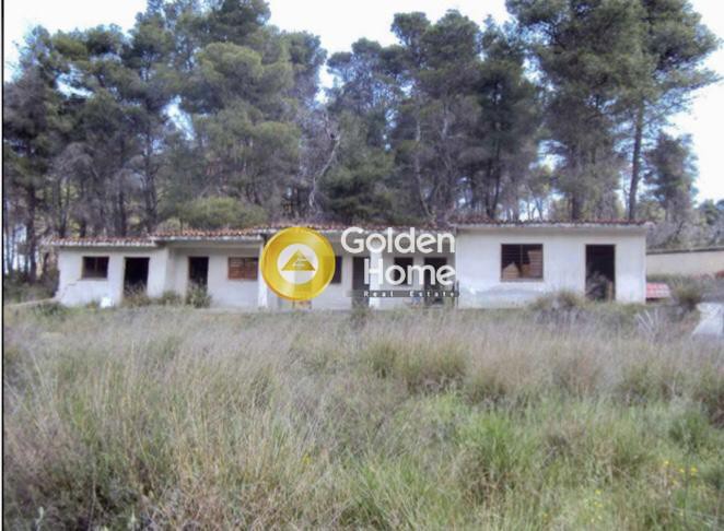 Επιχειρηματικό κτίριο 518 τ.μ. πρός ενοικίαση, Αθήνα - Βόρεια Προάστια, Άγιος Στέφανος