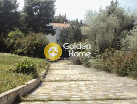 Επιχειρηματικό κτίριο 518 τ.μ. για ενοικίαση