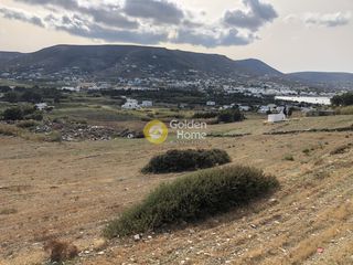 Αγροτεμάχια 8.107 τ.μ. για πώληση