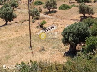 Οικόπεδο 10.500 τ.μ. για πώληση