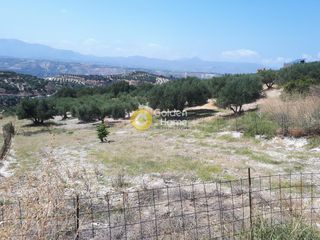 Οικόπεδο 585 τ.μ. για πώληση