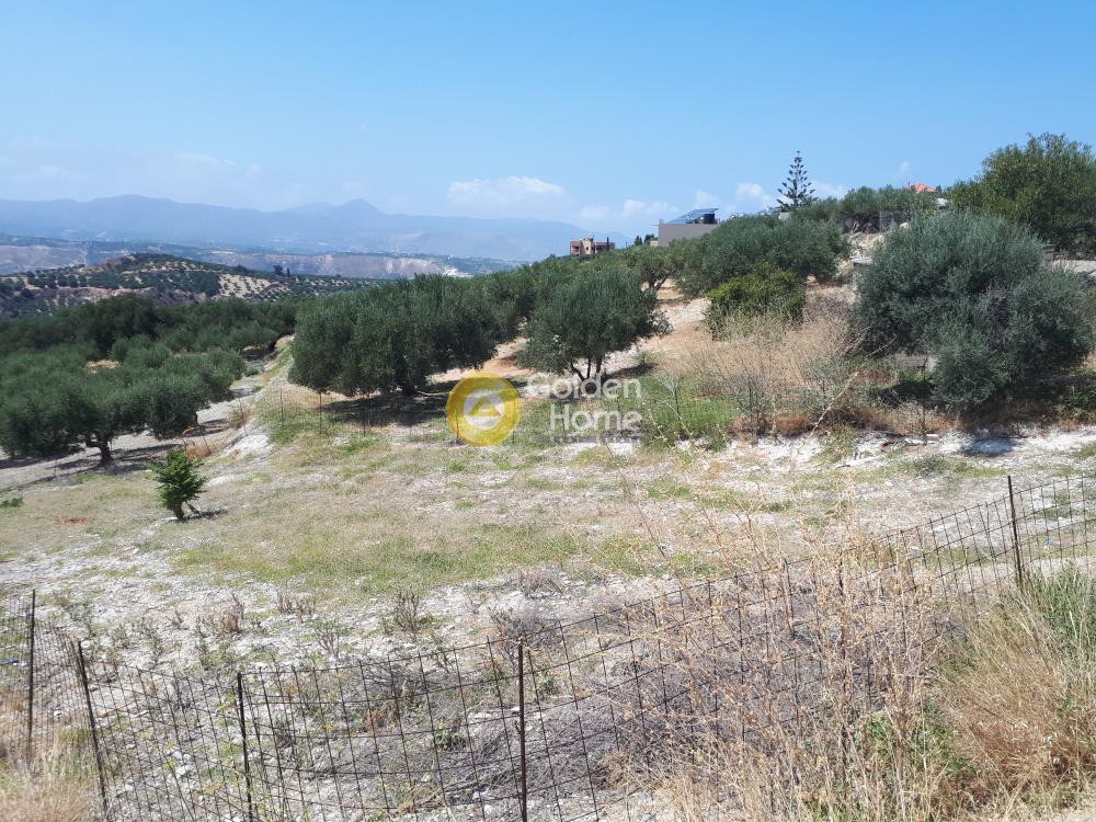 Οικόπεδο 585 τ.μ. προς πώληση, Βασιλείες