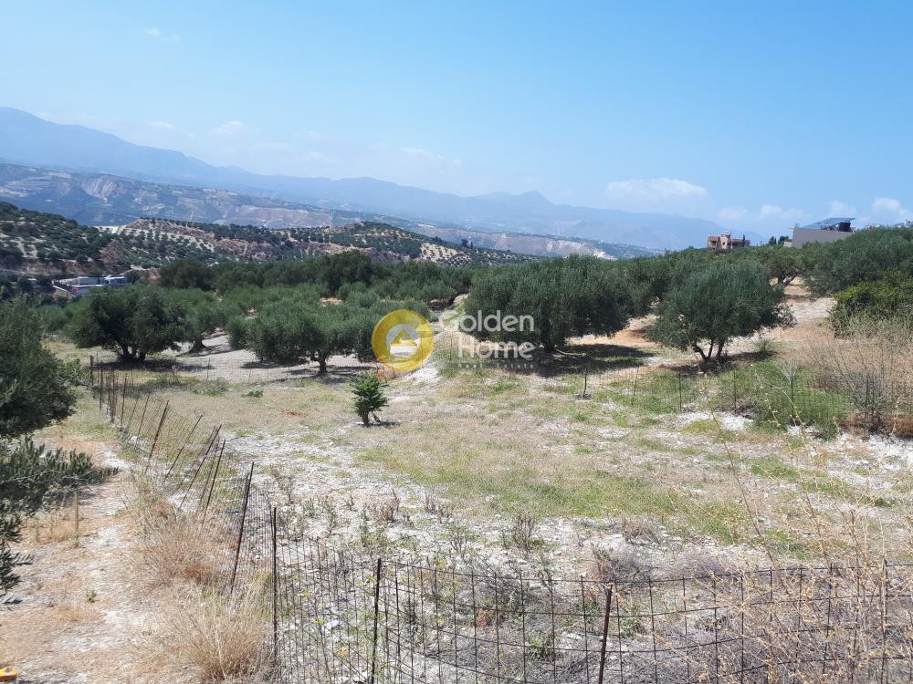 Οικόπεδο 585 τ.μ. προς πώληση, Βασιλείες