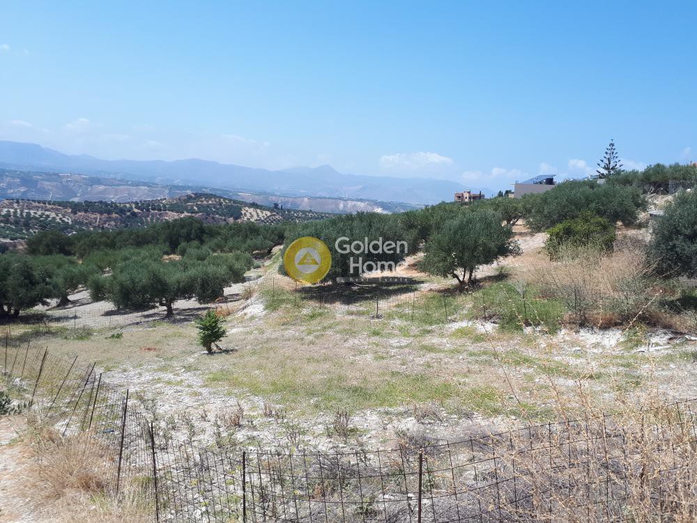 Οικόπεδο 585 τ.μ. προς πώληση, Βασιλείες