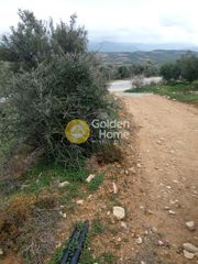 Αγροτεμάχια 2.000 τ.μ. για πώληση