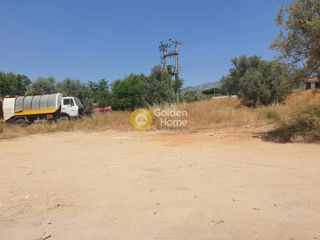 Οικόπεδο 13.000 τ.μ. για ενοικίαση